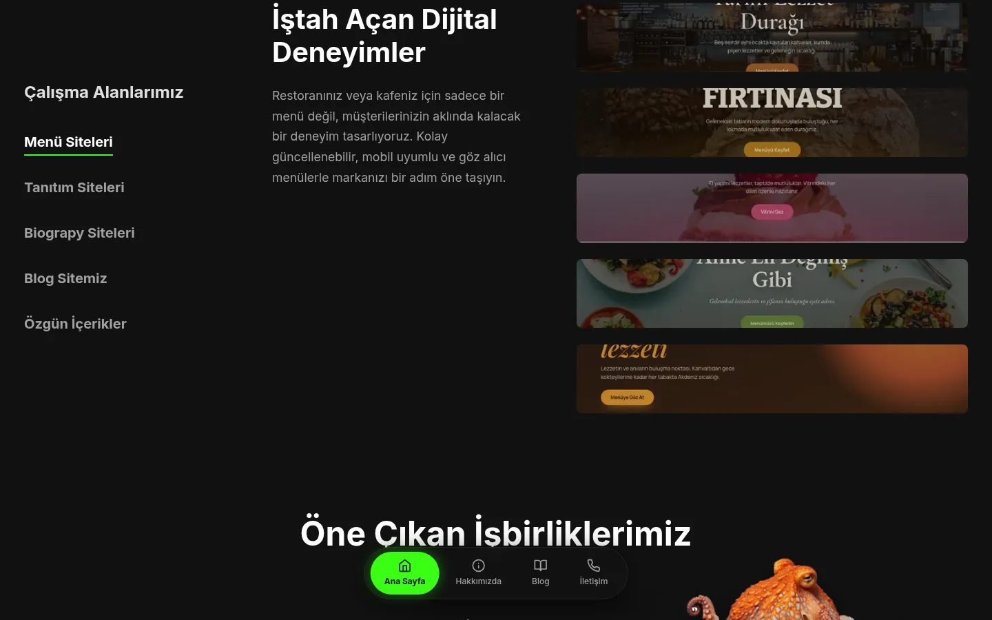 Codemisk çalışma alanları: menü, tanıtım, biyografi siteleri ve örnek menü siteleri